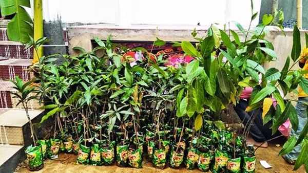 Món của hồi môn đặc biệt chú rể người Ấn Độ xin bố vợ.