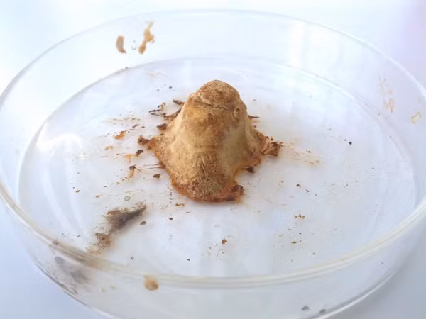 12 phát minh khoa học y như phép thần thông của năm 2015 ảnh 12