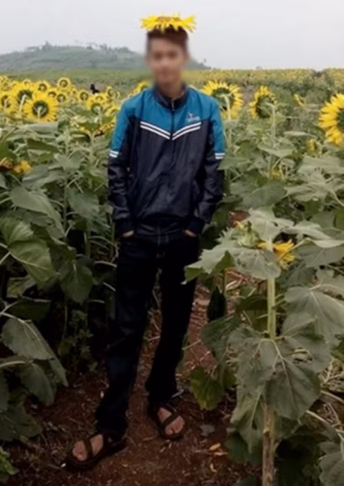 hinh-anh-pha-hoai-dong-hoa-duong-duong-nghe-an-bi-chi-trich-6