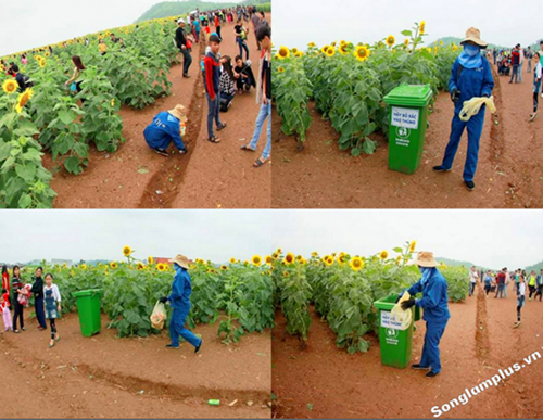Tình trạng vứt rác bừa bãi vẫn diễn ra dù ban quản lý cánh đồng hoa đã trang bị nhiều thùng rác lớn. Nhiều công nhân vệ sinh lại vất vả đi gom rác sau một ngày đón hàng nghìn lượt người đến thăm quan. Đây không phải là lần đầu tiên hình ảnh kém đẹp khi đi du lịch của một bộ phận bạn trẻ bị lên án. Trước đó những hình ảnh tan hoang vì dẫm đạp lên hoa khi tham quan ở đồng hoa tam giác mạch (Hà Giang), hoa cải (Đà Lạt) hay ở Thung lũng hoa Hồ Tây (Hà Nội) mới đây nhất đều nhận sự chỉ trích lớn. Dù bị lên án khá nhiều nhưng ý thức du lịch của nhiều bạn trẻ vẫn không khá hơn. hinh-anh-pha-hoai-dong-hoa-duong-duong-nghe-an-bi-chi-trich-9