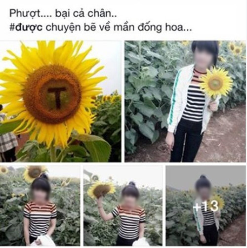 Để có được những bức ảnh như ý muốn, không ít các bạn trẻ sẵn sàng ngắt hoa, tạo kiểu chữ ngay trên những bông hoa hướng dương... hinh-anh-pha-hoai-dong-hoa-duong-duong-nghe-an-bi-chi-trich-5