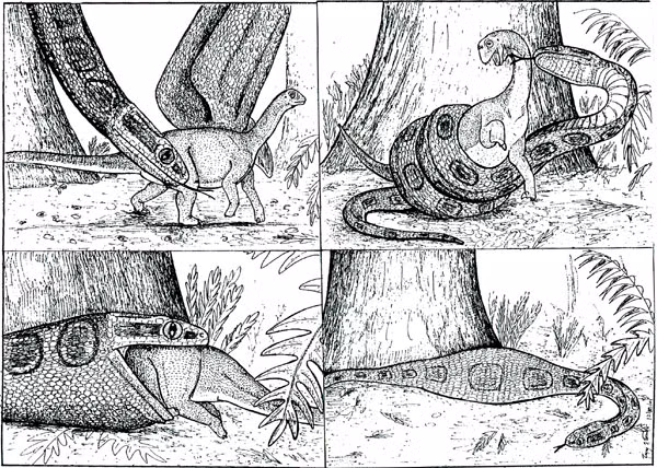 Loài Dinilysia patagonica