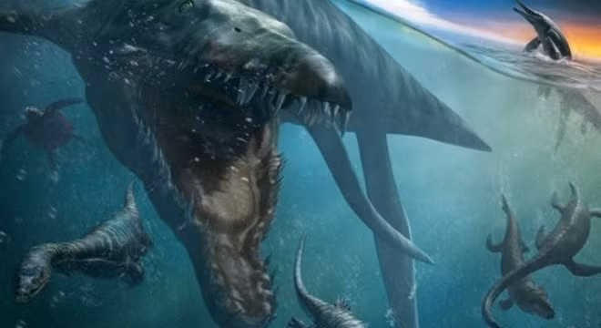 Không phải Megalodon, đây mới là loài mạnh nhất thời tiền sử