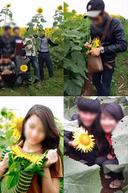 hinh-anh-pha-hoai-dong-hoa-duong-duong-nghe-an-bi-chi-trich-7