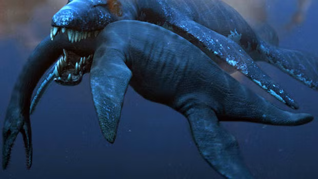 Không phải Megalodon, đây mới là loài mạnh nhất thời tiền sử ảnh 12