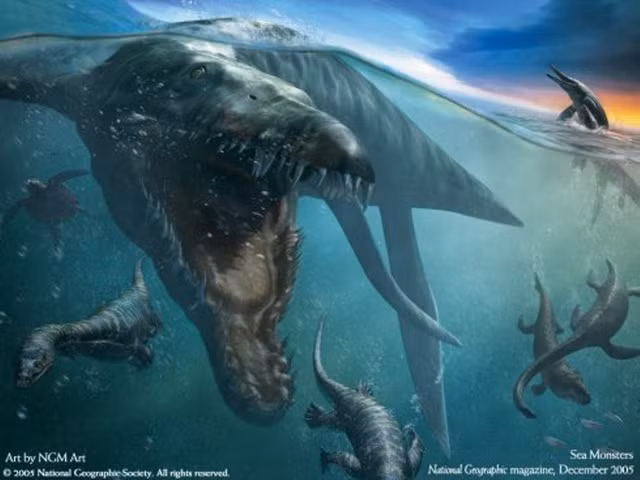 Không phải Megalodon, đây mới là loài mạnh nhất thời tiền sử ảnh 8