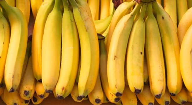 Khoa học chứng minh chúng ta sắp không còn chuối mà ăn