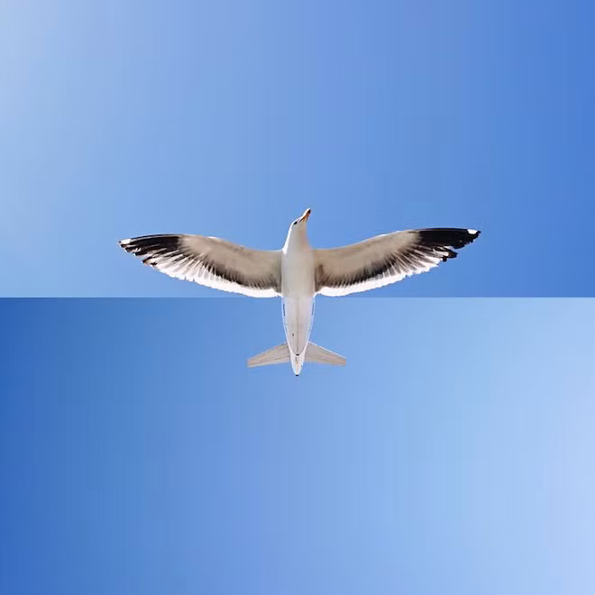 Những hình ảnh khiến ai cũng giật mình nhưng phải bật cười khi biết sự thật - Ảnh 14.