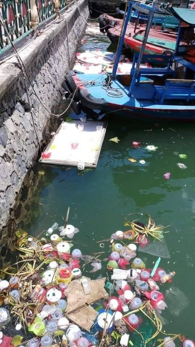 Thả hơn 3 vạn hoa đăng nhựa xuống biển Cát Bà, chính quyền nói gì? - 2 Thả hơn 3 vạn hoa đăng nhựa xuống biển Cát Bà, chính quyền nói gì? - 2