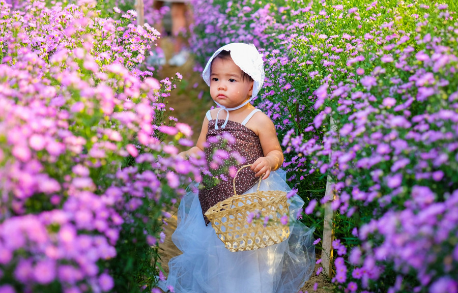 “Lạc” giữa vườn hoa tuyệt đẹp. “Lạc” giữa vườn hoa tuyệt đẹp.