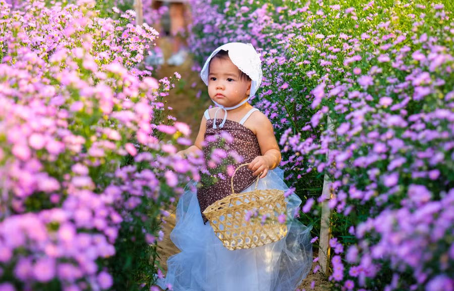 “Lạc” giữa vườn hoa tuyệt đẹp.