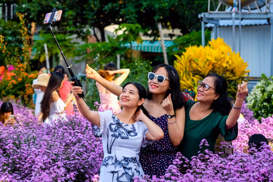 Nhiều phụ nữ tha hồ check-in với loài hoa thạch thảo.