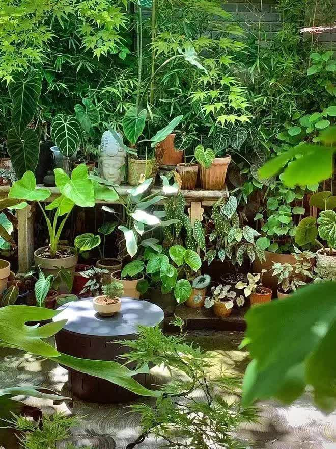 Một màu mướt mát làm dịu nhẹ bất cứ ai đôi mắt ai đi vào. Một màu mướt mát làm dịu nhẹ bất cứ ai đôi mắt ai đi vào.