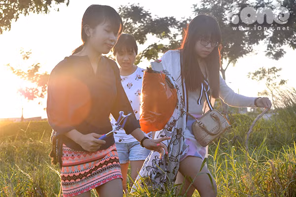 Rất đông bạn trẻ xúm xính trong những bộ váy áo, mang phụ kiện chụp ảnh, hướng đến các khu vực có cánh đồng cỏ lau nổi tiếng. Bởi cỏ mọc ken dày nên bạn trẻ cẩn thận dùng gậy khua cỏ, tránh rắn khi bước đi.