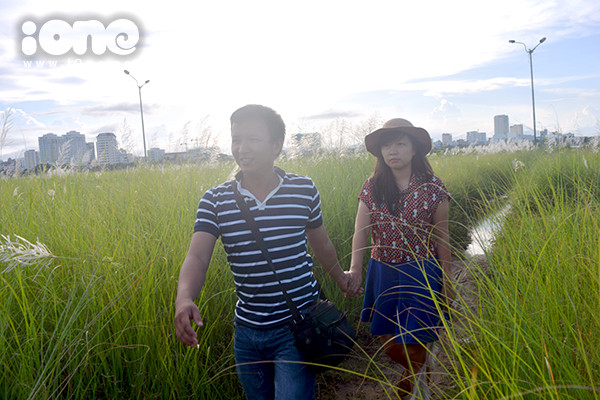 Cặp gà bông nắm tay, dạo bước trên cánh đồng hoa ""đặc sản""của Đà Nẵng. Cặp gà bông nắm tay, dạo bước trên cánh đồng hoa đặc sản của Đà Nẵng.