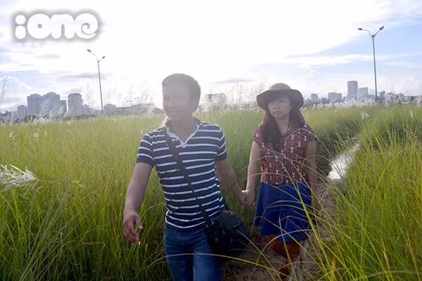 Cặp gà bông nắm tay, dạo bước trên cánh đồng hoa đặc sản của Đà Nẵng.