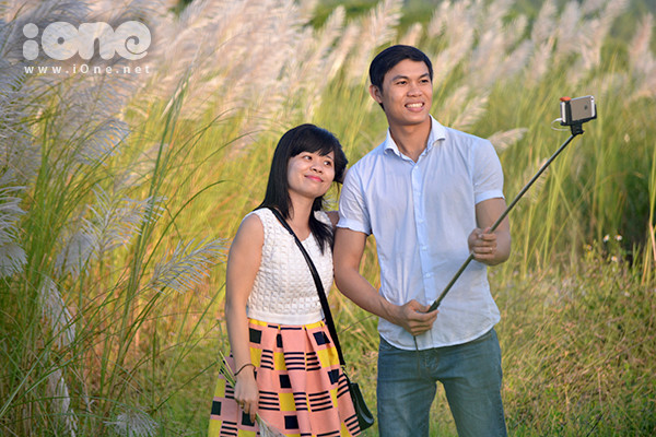 Các cặp đôi tỏ ra mê mẩn với cánh đồng cỏ lau cao quá đầu người này. Các cặp đôi tỏ ra mê mẩn với cánh đồng cỏ lau cao quá đầu người này.