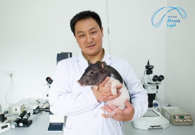 Lịch sử biến đổi gene động vật qua 10 thí nghiệm lạ ảnh 8 Lịch sử biến đổi gene động vật qua 10 thí nghiệm lạ ảnh 8