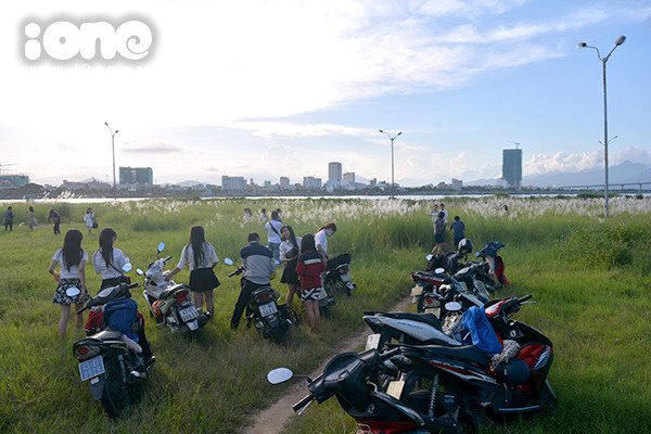 Vào tiết trời tháng 10, tháng 11,sau khoảng thời gian mưa chuyển mùa, hoa cỏ lau nở rộ, phủ trắng xóa nhiều khu vực ở Đà Nẵng. Các khu vực Thuận Phước, Tiên Sơn… đầy ắp xe và các teen lại í ơi gọi nhauchụp ảnh kỷ niệm, đặcbiệt vào dịp cuối tuần. Vào tiết trời tháng 10, tháng 11, Đến hẹn lại lên, sau khoảng thời gian mưa chuyển mùa, hoa cỏ lau nở rộ, phủ trắng xóa nhiều khu vực ở Đà Nẵng. Các khu vực Thuận Phước, Tiên Sơn& đầy ắp xe và các bạn trẻ đi chụp ảnh kỷ niệm, đặt biệt vào dịp cuối tuần.