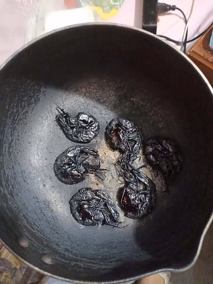 Năng khiếu phá hoại bếp núc là có thật