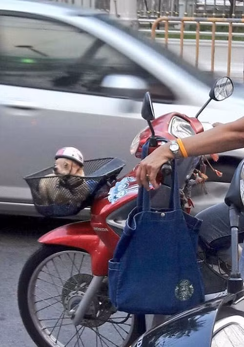 10-anh-hai-hot-nhat-facebook-trong-ngay-8