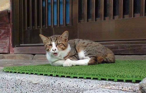 10 ảnh hài hot nhất Facebook trong ngày 