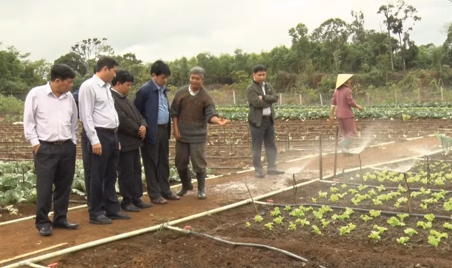 Ông Trần Châu, Phó Chủ tịch UBND tỉnh Bình Định (thứ 2 từ trái sang) thăm mô hình rau sạch trong vùng đồng bào DTTS tại xã Vĩnh Sơn, huyện Vĩnh Thạnh.