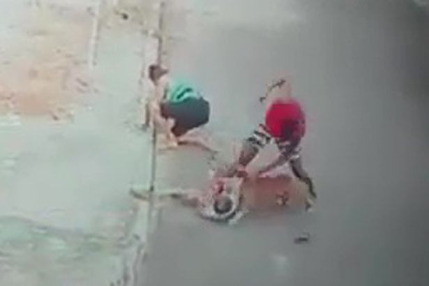 Cậu bé bị con chó lôi xềnh xệch trên đất Thót tim cảnh cứu bé trai bị chó dữ tấn công