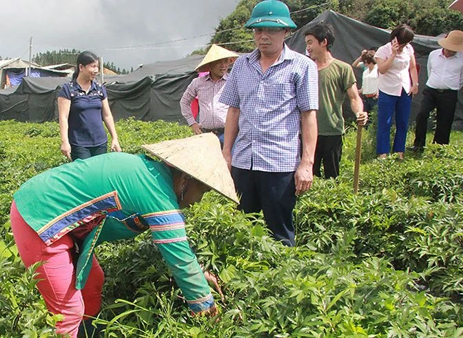 Lào Cai: Nỗ lực giảm nghèo về thông tin và truyền thông