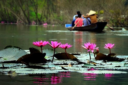 Chùa Hương nằm cách Hà Nội chỉ 60km, do đó nhiều du khách Thủ đô đã tranh thủ dịp cuối tuần để đến đây vãn cảnh, chụp ảnh rồi về ngay trong ngày. Ảnh: Cao Anh Tuấn Chùa Hương nằm cách Hà Nội chỉ 60km, do đó nhiều du khách Thủ đô đã tranh thủ dịp cuối tuần để đến đây vãn cảnh, chụp ảnh rồi về ngay trong ngày. Ảnh: Cao Anh Tuấn