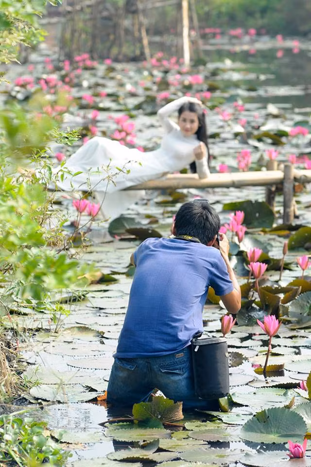 Thiếu nữ khoe sắc xuân mơn mởn bên hồ hoa súng ảnh 18