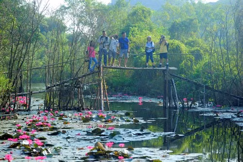 Du khách chủ yếu là những "tay" mê chụp ảnh. Ảnh: Bùi Tuyết Vân Du khách chủ yếu là những "tay" mê chụp ảnh. Ảnh: Bùi Tuyết Vân