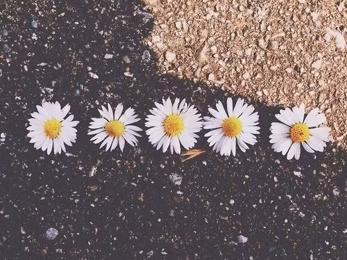 26 điều bạn nên biết khi bạn 26 tuổi ảnh 7