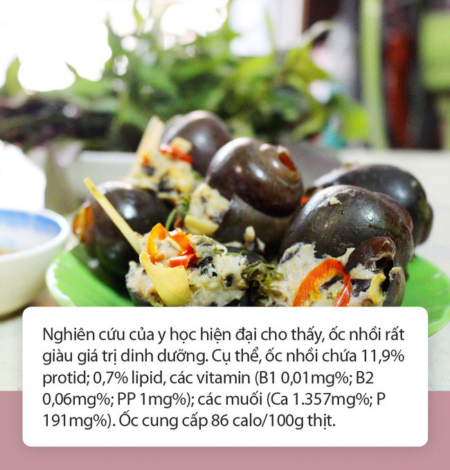 Ăn loại ốc này vào mùa thu không chỉ ngon mà còn chữa được vô số bệnh hay ho thế này! - Ảnh 3. Ăn loại ốc này vào mùa thu không chỉ ngon mà còn chữa được vô số bệnh hay ho thế này! - Ảnh 3.
