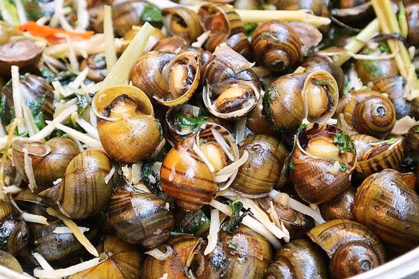 Ốc nhồi vị ngọt, mặn, tính hàn; vào vị, đại tràng, bàng quang.