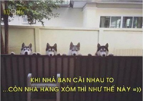 Những hàng xóm lắm lời. giai-phap-chong-dao-tac-moc-trom-cop-xe-2