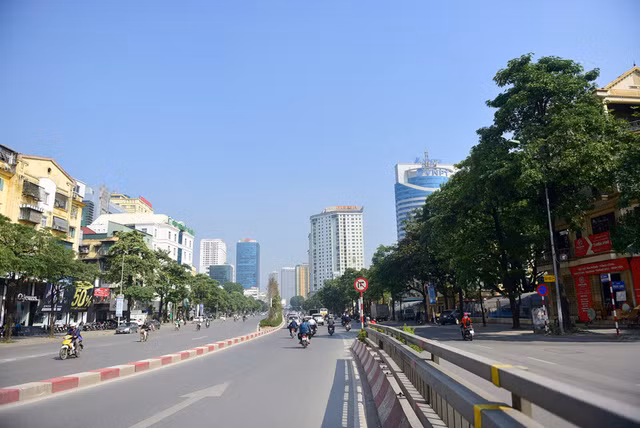  Trên phố Nguyễn Chí Thanh, chỉ trong một đoạn ngắn có đến gần trăm cây hoa sữa, mật độ khá dày. Nhiều người dân sống xung quanh cho biết họ bị ám ảnh bởi mùi hoa sữa mỗi khi đến mùa. 