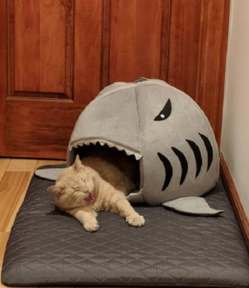 Nữ hoàng diễn xuất.