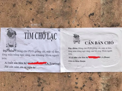 Sự trùng hợp khó đỡ.