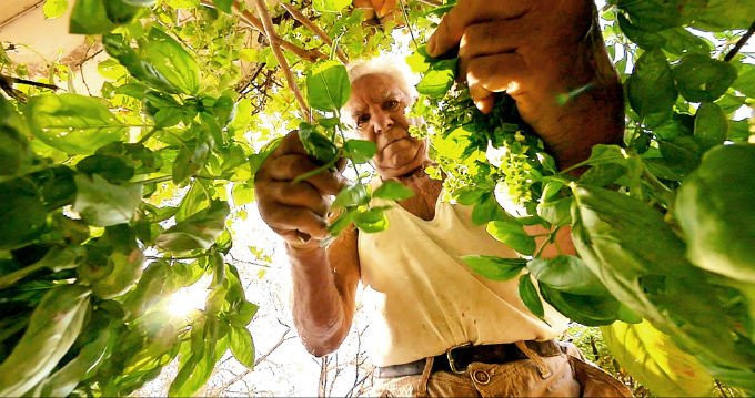 Những phim trong veo cho thiếu nhi