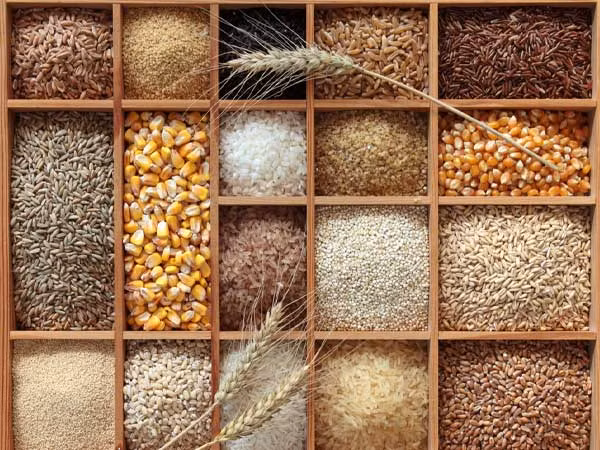 Thực phẩm giúp tăng số lượng tiểu cầu ảnh 12