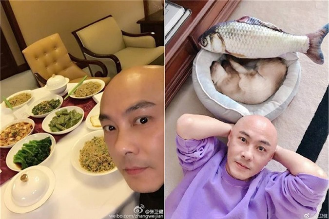 Cuộc sống giàu sang, không con cái của Trương Vệ Kiện ảnh 4 Cuộc sống giàu sang, không con cái của Trương Vệ Kiện-5