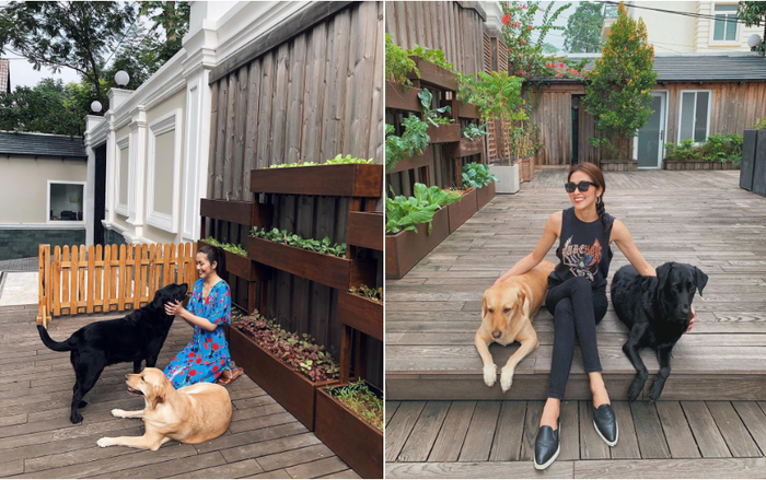 Bên trong biệt thự sân vườn của vợ chồng Tăng Thanh Hà ảnh 8 Bên trong biệt thự sân vườn của vợ chồng Tăng Thanh Hà