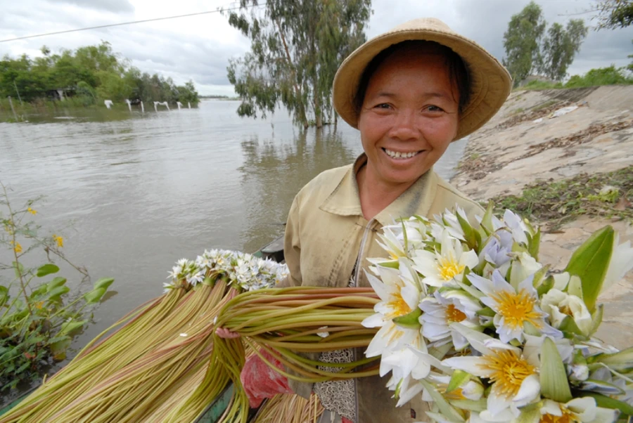 Nghề mới: Hái bông súng đồng mùa lũ