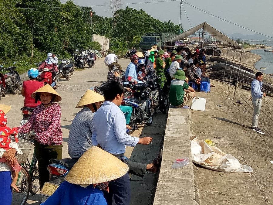 Lực lượng chức năng đang tiếp tục tìm kiếm thi thể nạn nhân mất tích. Lực lượng chức năng đang tiếp tục tìm kiếm thi thể nạn nhân mất tích.