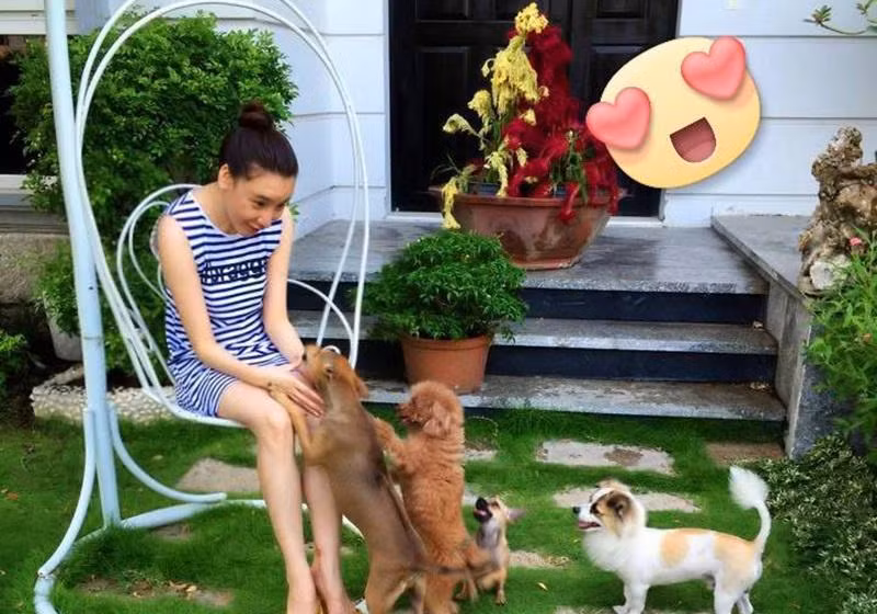 Choáng với biệt thự khủng của mỹ nhân ăn chay, gợi cảm bậc nhất châu Á-1