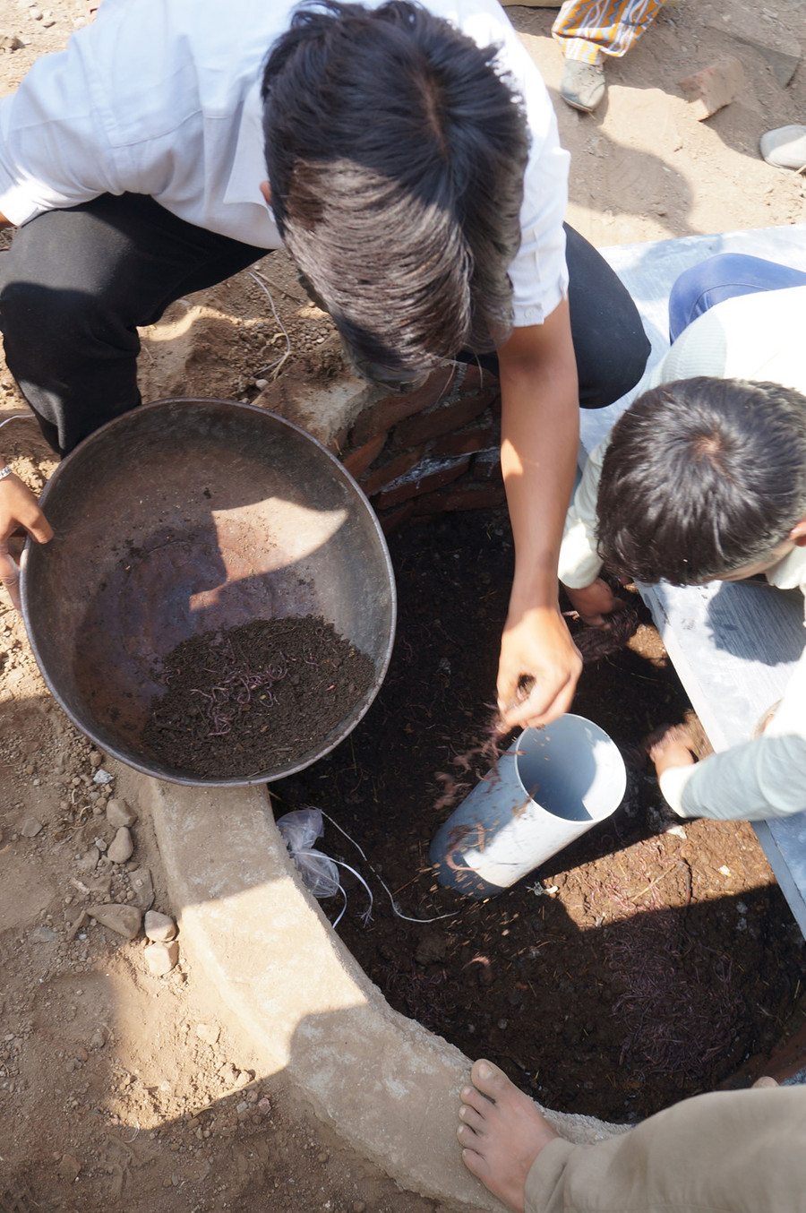 Giun hổ được chứa phía dưới nhà vệ sinh sẽ xử lý phân và thải ra phân hữu cơ, có thể dùng làm phân bón. Ảnh:Bear Valley Ventures Toilet bang giun cua ty phu Bill Gates se thay doi the gioi hinh anh 2