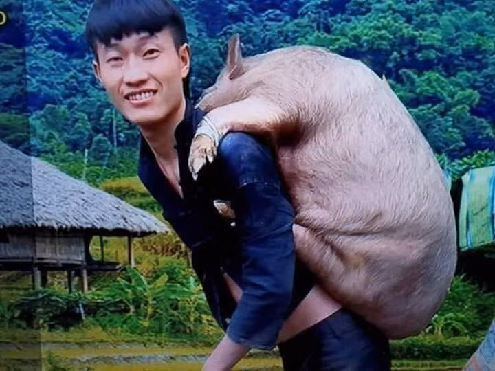 Mai tớ lấy vợ rồi