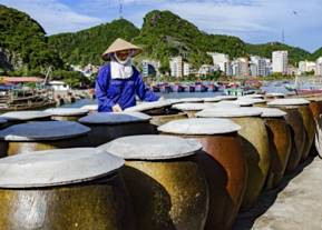 Cho mắm “ăn” nắng. Cho mắm “ăn” nắng.