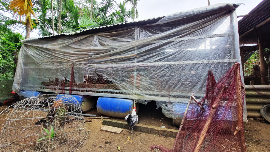 Đây là chiếc chuồng độc lạ của gia đình ông Lương Văn Năm, sau trận lũ lịch sử năm 2013 gây nhiều thiệt hại cho gia đình ông cũng như người dân xã Hành Tín Đông nên ông Năm đã sáng tạo ra chiếc chuồng lạ mắt này nhằm bảo vệ vật nuôi và tài sản khi đến mùa lũ.